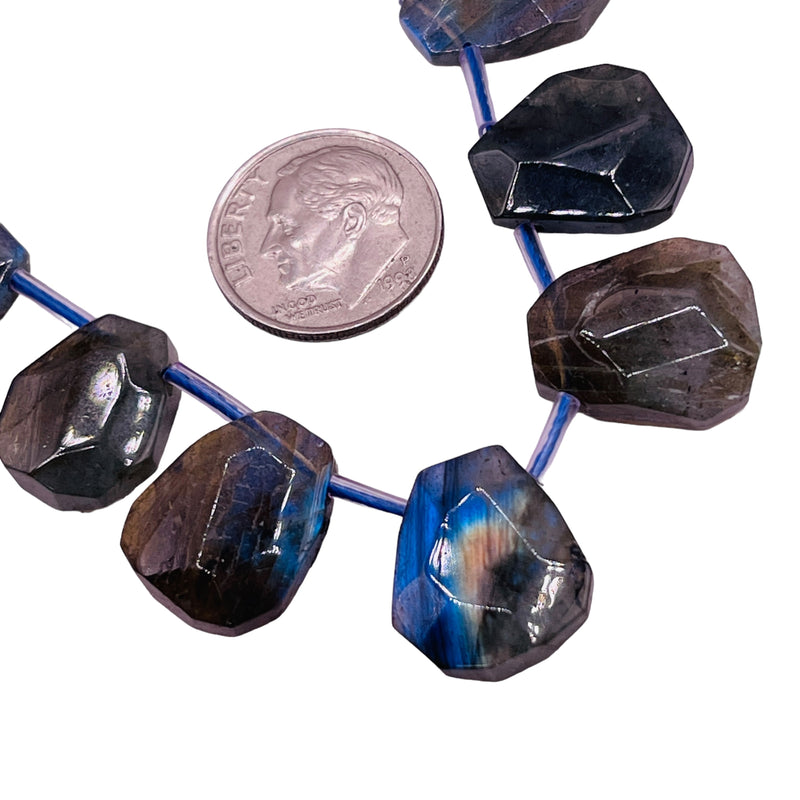 14mm Freeform Cut Labradorite