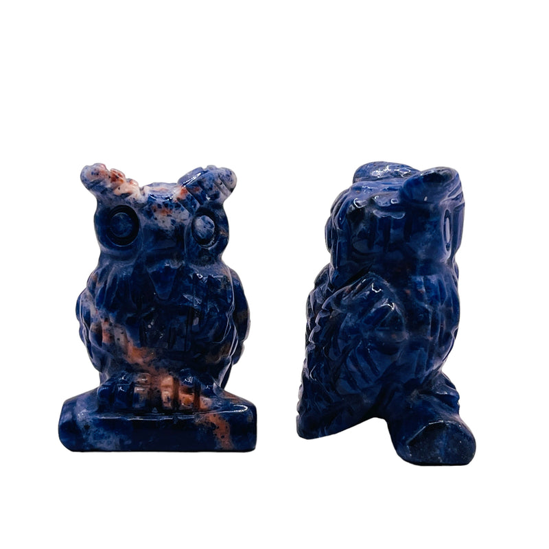 Sodalite Owl