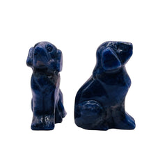 Sodalite Dog