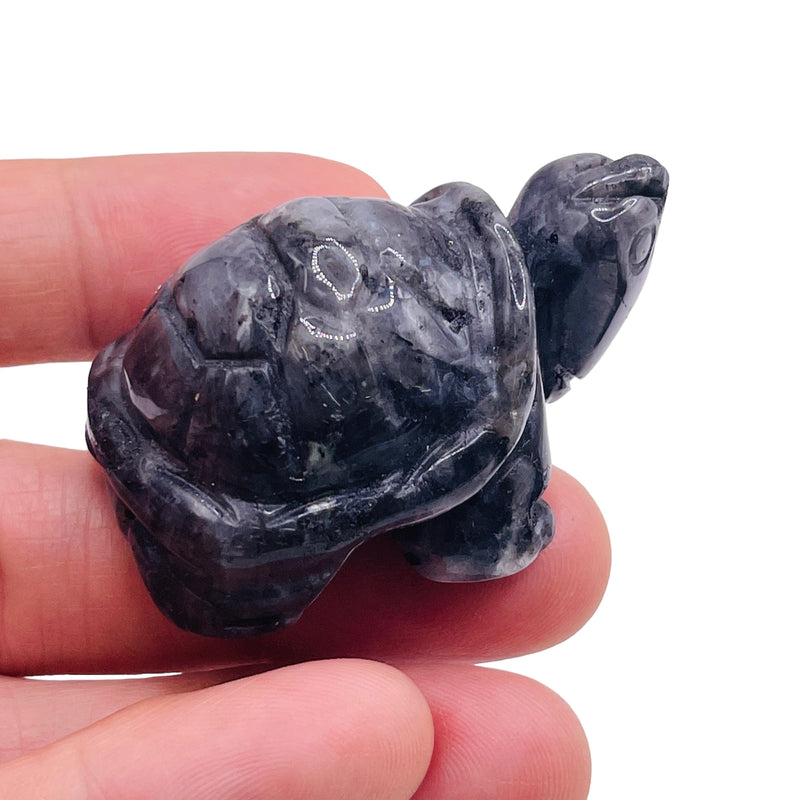 Labradorite Turtle